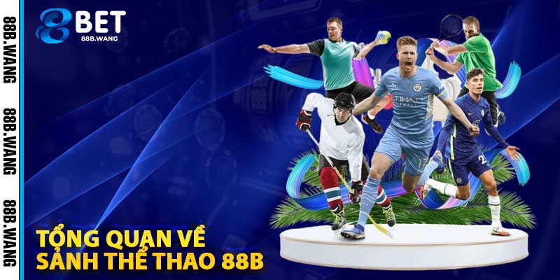 Tổng Quan Về Sảnh Thể Thao 88b