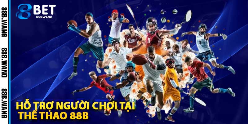 Hỗ Trợ Người Chơi Tại Thể Thao 88b