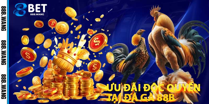 Ưu Đãi Độc Quyền Tại Đá Gà 88b